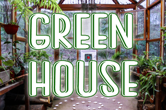 Green House: Elevating Visual Impact with Bold Simplicity