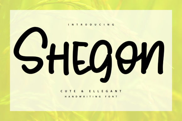 Shegoon: A Bold Choice for Authentic Display Typography